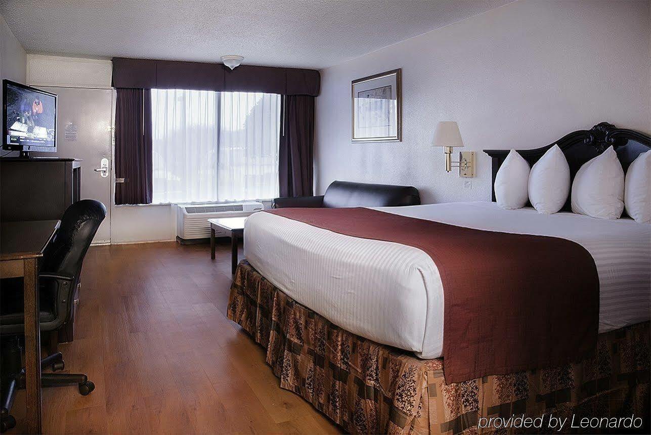 Best Western Greenville Airport Room photo